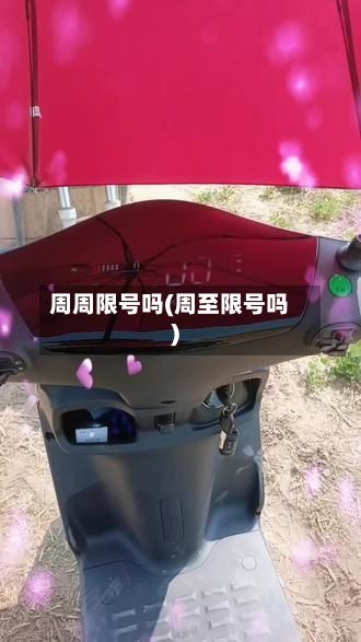 周周限号吗(周至限号吗)
