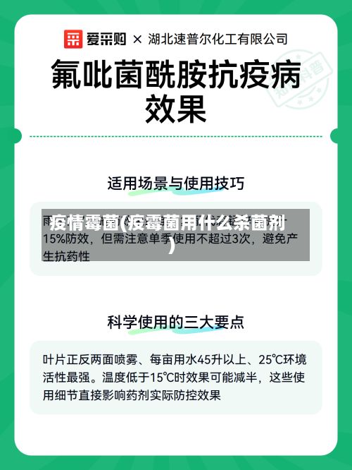 疫情霉菌(疫霉菌用什么杀菌剂)-第2张图片