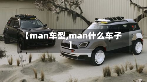 【man车型,man什么车子】-第2张图片