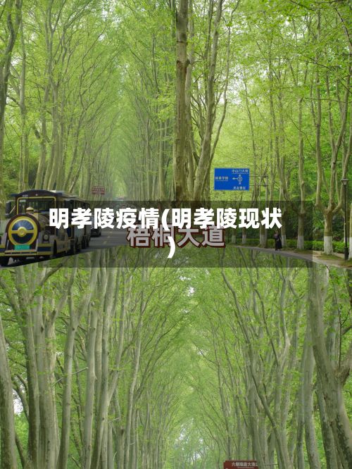 明孝陵疫情(明孝陵现状)