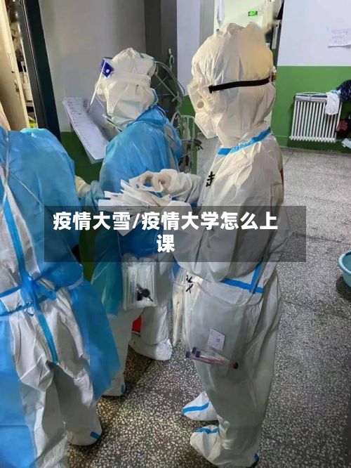 疫情大雪/疫情大学怎么上课-第2张图片