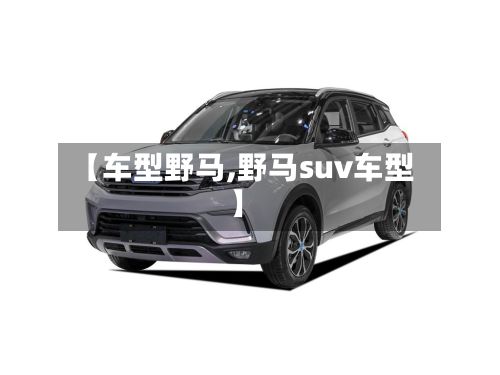 【车型野马,野马suv车型】-第2张图片