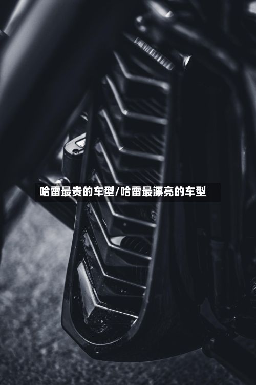 哈雷最贵的车型/哈雷最漂亮的车型-第2张图片