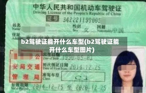 b2驾驶证能开什么车型(b2驾驶证能开什么车型图片)