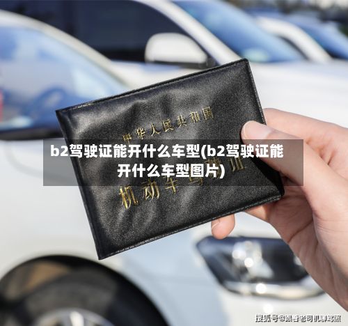 b2驾驶证能开什么车型(b2驾驶证能开什么车型图片)-第3张图片