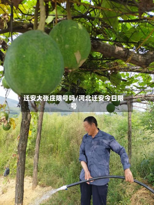 迁安大张庄限号吗/河北迁安今日限号-第2张图片
