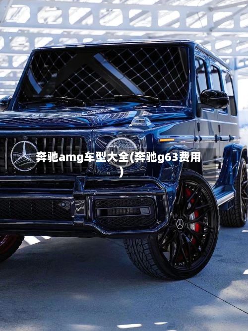 奔驰amg车型大全(奔驰g63费用)-第2张图片