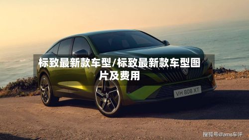 标致最新款车型/标致最新款车型图片及费用-第2张图片