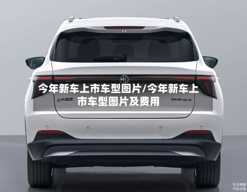 今年新车上市车型图片/今年新车上市车型图片及费用