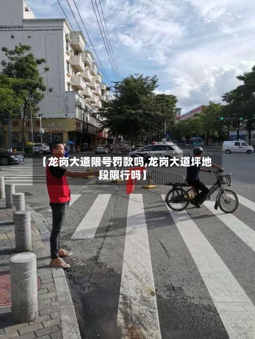 【龙岗大道限号罚款吗,龙岗大道坪地段限行吗】-第2张图片