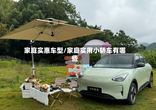 家庭实惠车型/家庭实用小轿车有哪些