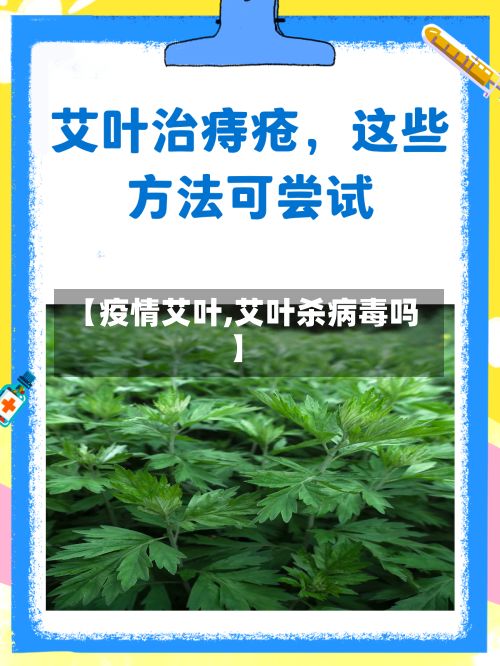 【疫情艾叶,艾叶杀病毒吗】