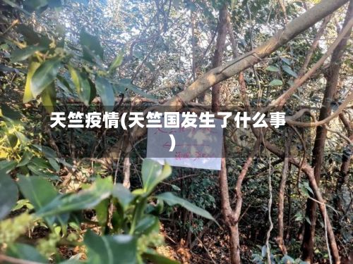 天竺疫情(天竺国发生了什么事)-第2张图片