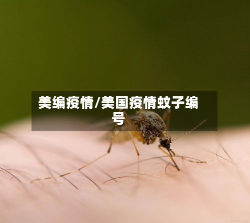 美编疫情/美国疫情蚊子编号