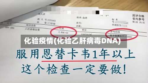 化验疫情(化验乙肝病毒DNA)