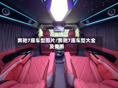 奔驰7座车型图片/奔驰7座车型大全及费用-第3张图片