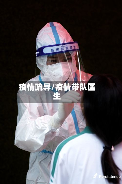 疫情疏导/疫情带队医生