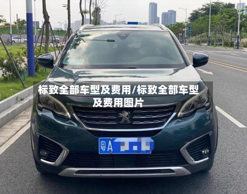 标致全部车型及费用/标致全部车型及费用图片