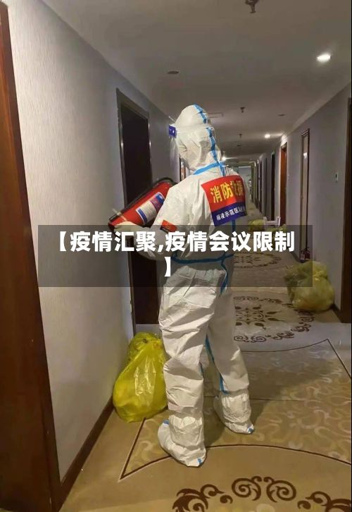 【疫情汇聚,疫情会议限制】-第2张图片