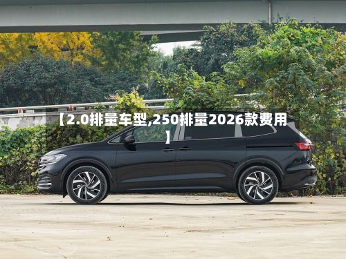 【2.0排量车型,250排量2026款费用】-第2张图片