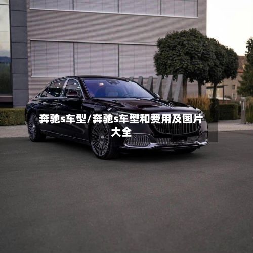 奔驰s车型/奔驰s车型和费用及图片大全-第2张图片