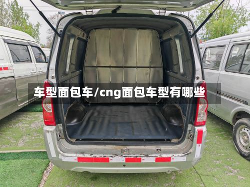 车型面包车/cng面包车型有哪些