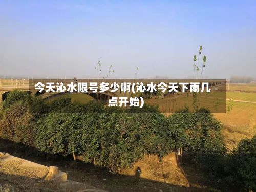 今天沁水限号多少啊(沁水今天下雨几点开始)-第3张图片