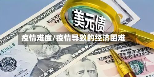 疫情难度/疫情导致的经济困难