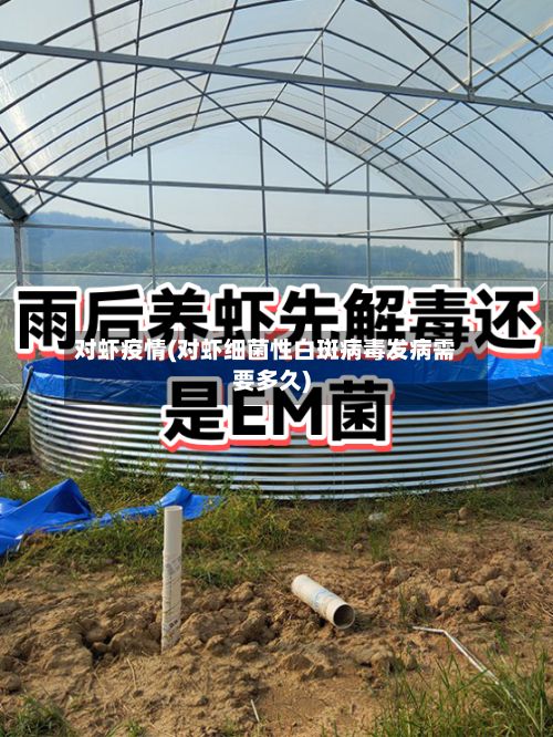 对虾疫情(对虾细菌性白斑病毒发病需要多久)-第3张图片