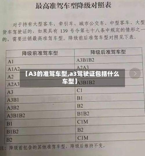 【A3的准驾车型,a3驾驶证包括什么车型】-第2张图片