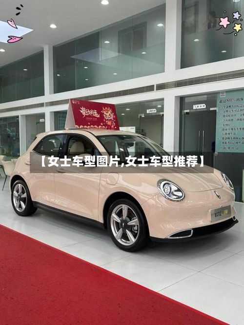 【女士车型图片,女士车型推荐】-第2张图片