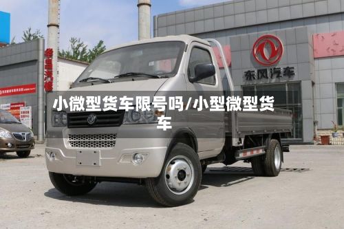 小微型货车限号吗/小型微型货车