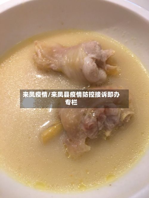 来凤疫情/来凤县疫情防控接诉即办专栏
