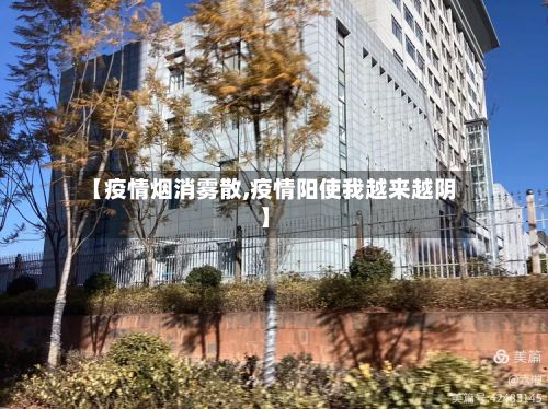 【疫情烟消雾散,疫情阳使我越来越阴】-第2张图片