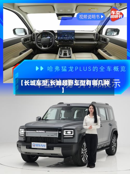 【长城车型,长城越野车型有哪几种】-第3张图片