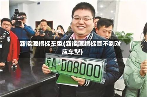 新能源指标车型(新能源指标查不到对应车型)