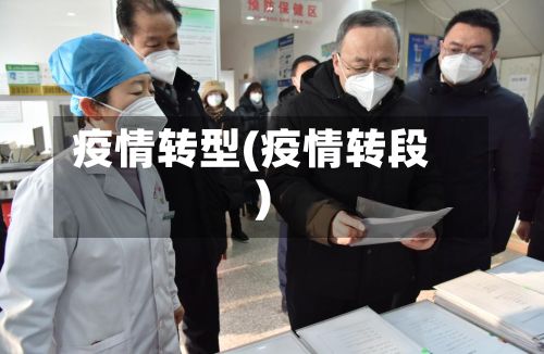 疫情转型(疫情转段)