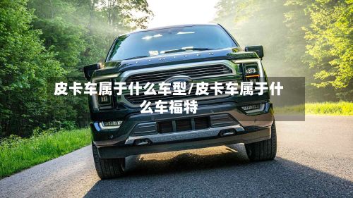 皮卡车属于什么车型/皮卡车属于什么车福特-第2张图片