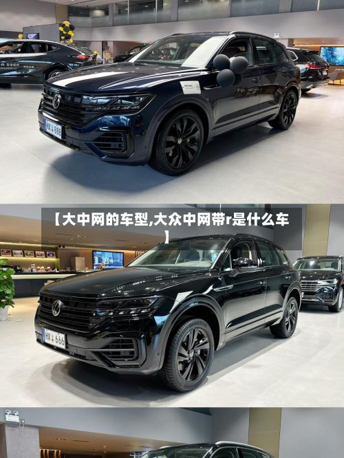 【大中网的车型,大众中网带r是什么车】-第2张图片