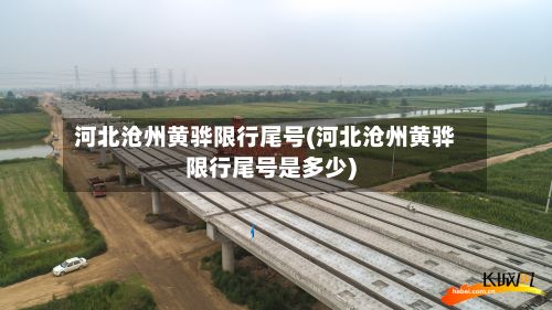 河北沧州黄骅限行尾号(河北沧州黄骅限行尾号是多少)