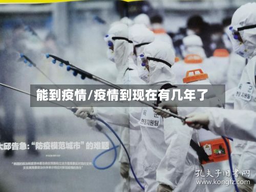 能到疫情/疫情到现在有几年了