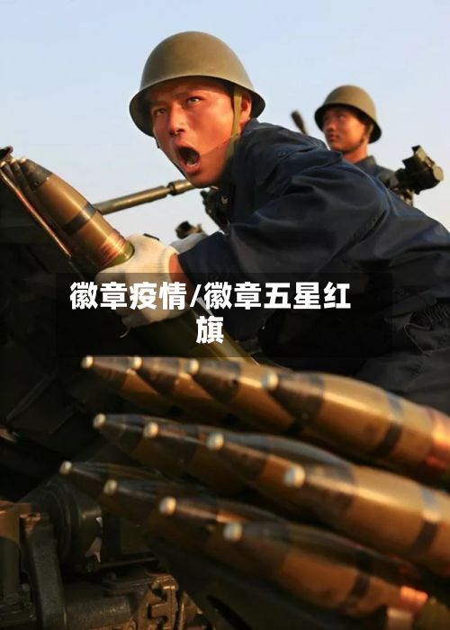 徽章疫情/徽章五星红旗-第3张图片