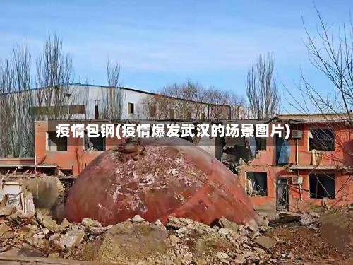 疫情包钢(疫情爆发武汉的场景图片)-第2张图片
