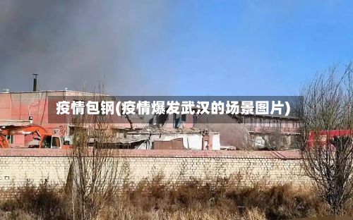 疫情包钢(疫情爆发武汉的场景图片)