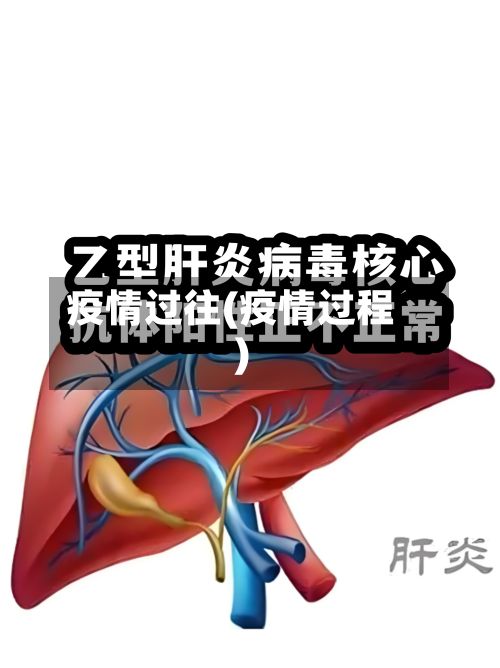 疫情过往(疫情过程)