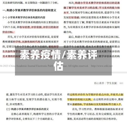 素养疫情/素养评估-第3张图片