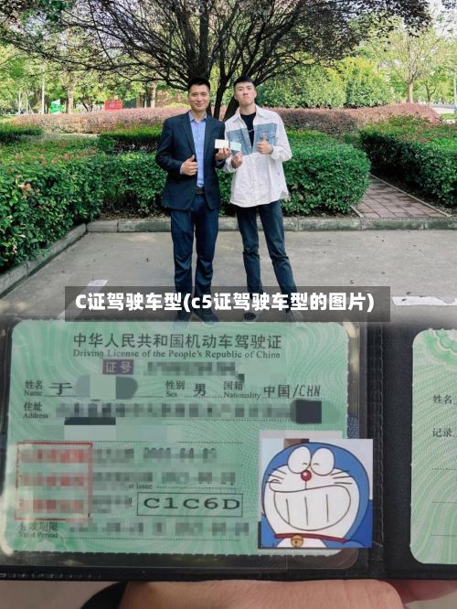 C证驾驶车型(c5证驾驶车型的图片)