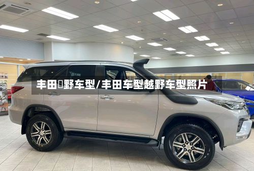 丰田赿野车型/丰田车型越野车型照片-第2张图片