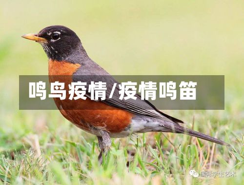 鸣鸟疫情/疫情鸣笛