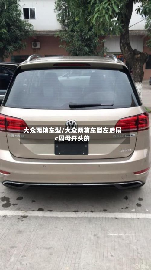 大众两箱车型/大众两箱车型左后尾c周母开头的-第2张图片